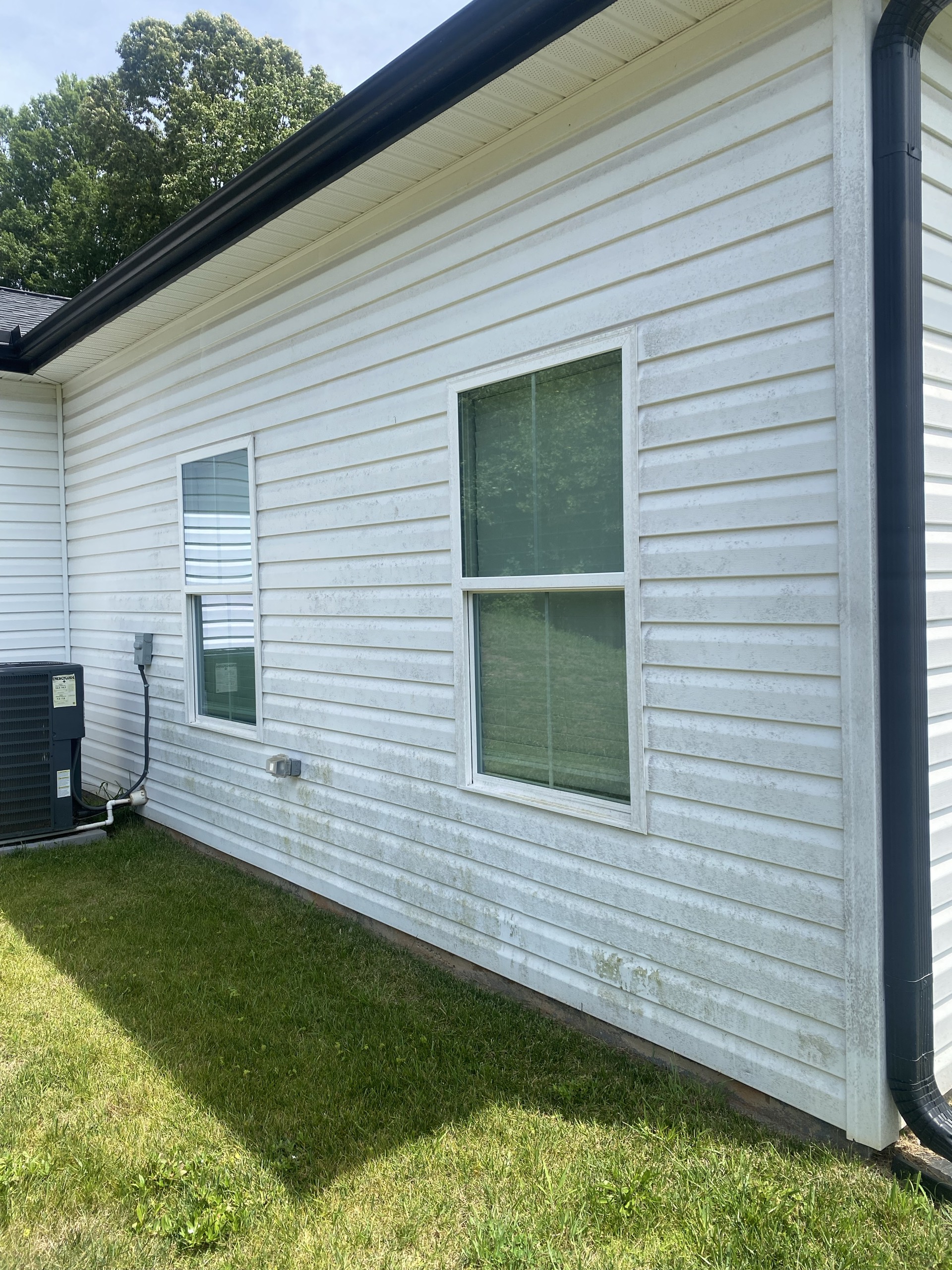 House siding before cleaning, with mildew across the surface